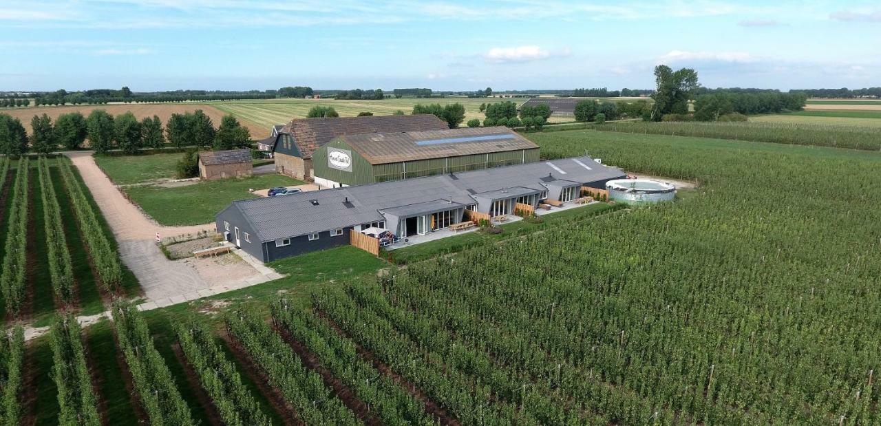 Hoeve Oude Tol Zuidzande Exteriér fotografie